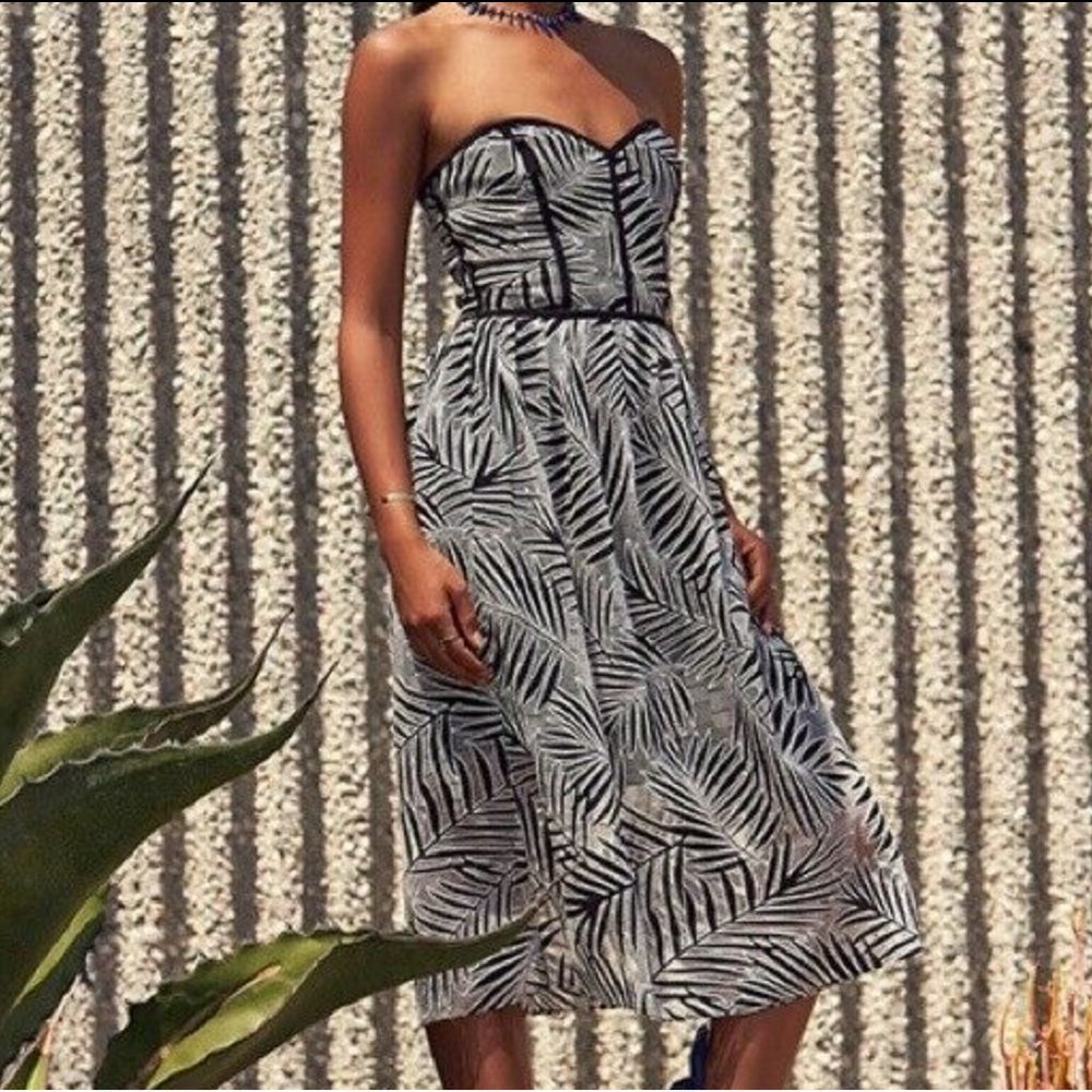 Parker Azalea Black White Palm Print Midi …